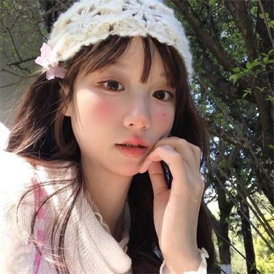 高山下的花环海报